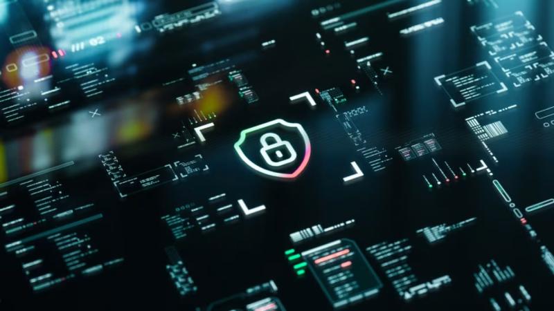 沧源软件开发公司